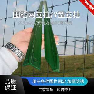 勾花网柱铁丝网立柱加厚三角尖头实心铁柱养殖隔离网柱子镀锌现货