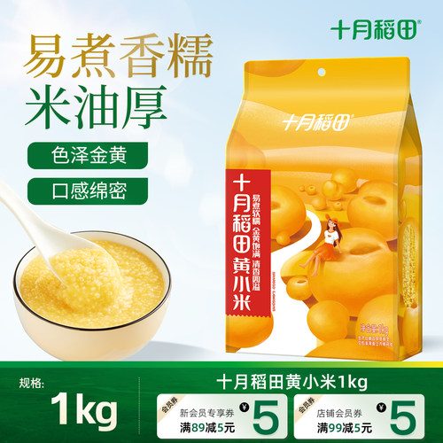 十月稻田黄小米易煮香糯