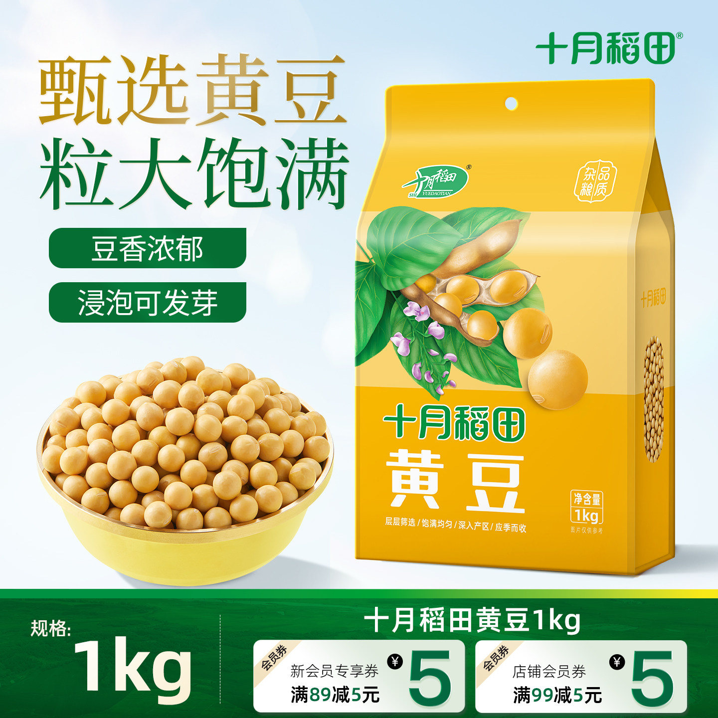 十月稻田东北黄豆大豆可生豆芽打豆浆粗粮黄豆真空包装