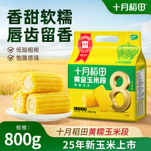 25年新玉米十月稻田黄糯玉米段800g低脂饱腹软糯东北粘苞米真空装