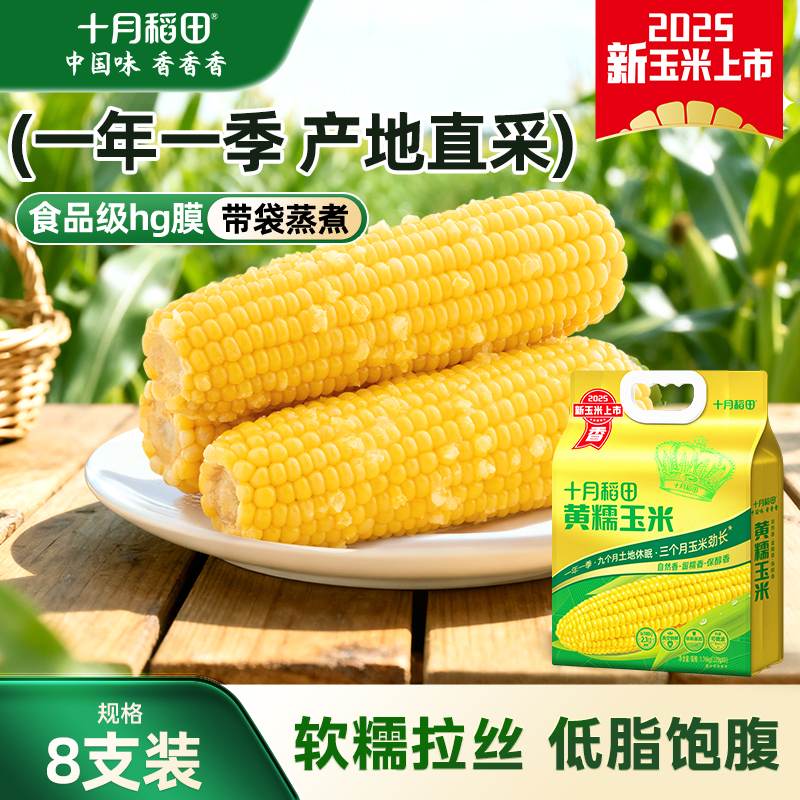 十月稻田黄糯玉米软糯拉丝低脂肪