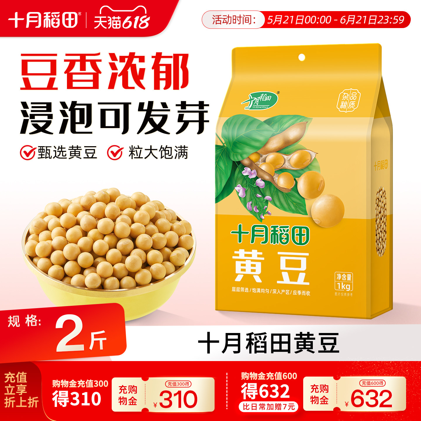 十月稻田东北黄豆大豆可生豆芽打豆浆粗粮黄豆真空包装