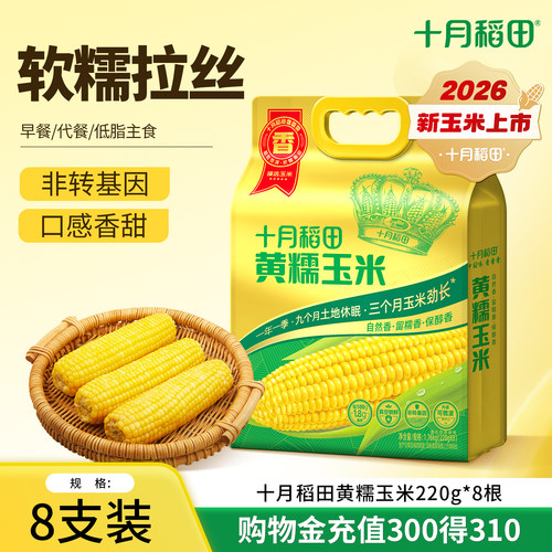 十月稻田黄糯玉米软糯拉丝低脂肪