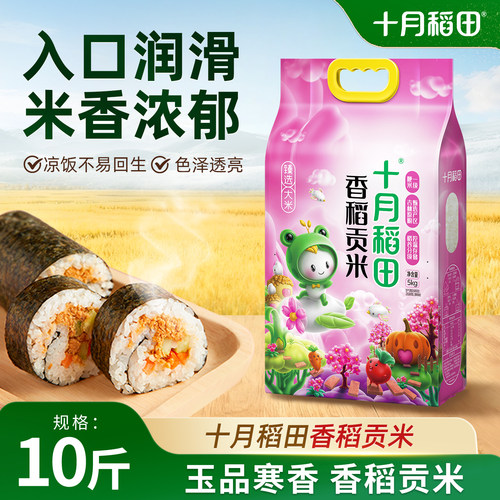 十月稻田香稻贡米圆润饱满