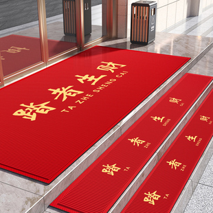 鱼鳞丝户外楼梯台阶踏步地毯垫店铺酒店门口迎宾地垫室外防滑脚垫
