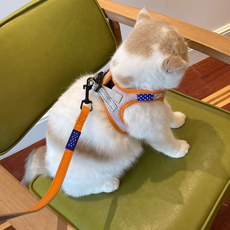 猫咪牵引绳防挣脱胸背带外出背F心式可爱溜猫牵引绳猫绳