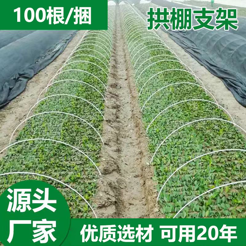 新型玻璃纤维小拱棚支架拱杆农用育苗蔬菜棚骨架保温棚.西瓜棚骨