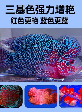 高亮新款罗汉鱼鹦鹉吉罗雷龙鱼专用鱼缸灯Iled灯防水三基色增艳灯