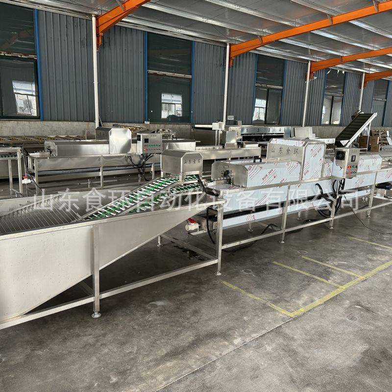 全自动蛋类清洗机鸡蛋鸭蛋鹅蛋洗蛋机不锈钢高压喷淋洗蛋机