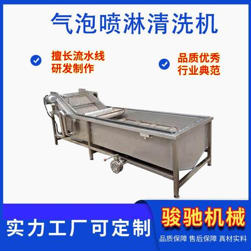 大枣多功能清洗机果蔬气泡清洗机净菜加工设备清洗机械