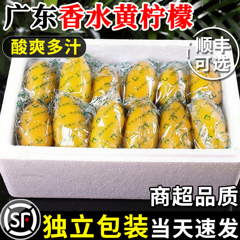 广东香水黄柠檬10斤新鲜水果柠檬精选皮薄柠檬奶茶店专用整箱批发
