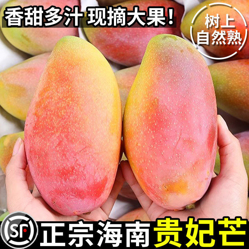 海南贵妃芒新鲜芒果应当季水果树上熟红金龙辣椒芒甜心芒大果整箱