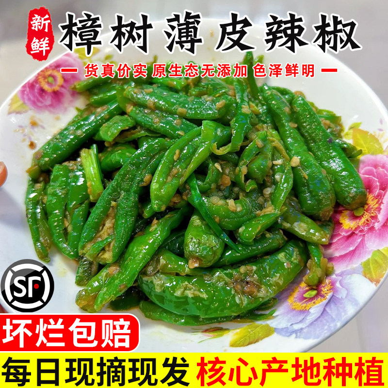 【特级】正宗樟树新鲜辣椒湖南岳阳港产地直发青椒现摘下饭菜顺丰