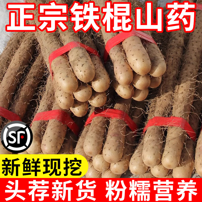 正宗铁棍山药新鲜淮山药河焦作温县南铁杆山药现挖山药5斤怀山药3