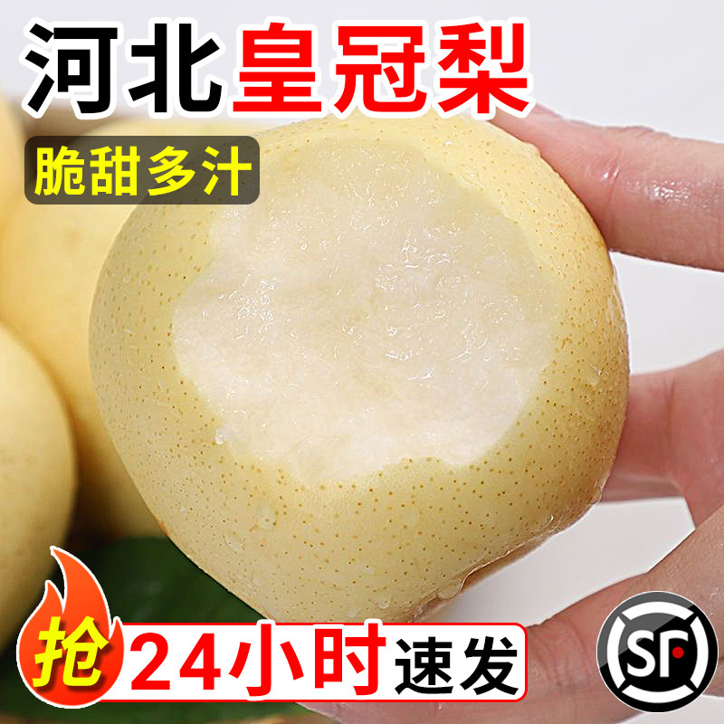 正宗河北皇冠梨10斤梨子新鲜当季水果酥脆梨砀山梨黄金梨整箱包邮