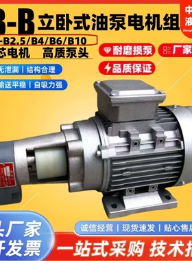 CB-B6/CB-B10/CB-B4/CB-B2.5JZ齿轮油泵电机润滑油泵0.37/0.55KW