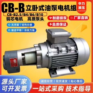 B2.5JZ齿轮油泵电机润滑油泵0.37 B10 0.55KW