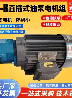 BB-B25NJZ-1/B16NJZ-1摆线齿轮油泵电机BB-B32N/B20/B40NJZ-1东高