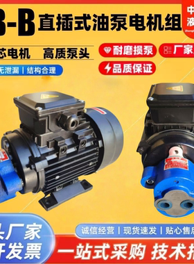 CB-B10/B6/4/2.5R锯床齿轮油泵电机组CBW-B4/6JZ 0.37/0.55KW润滑