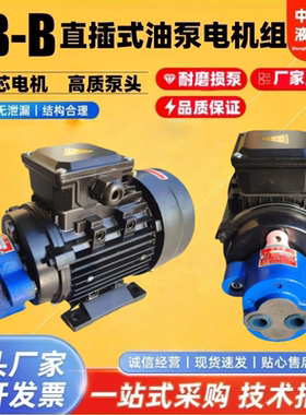 CB-B10/B6/4/2.5R锯床齿轮油泵电机组CBW-B4/6JZ 0.37/0.55KW润滑