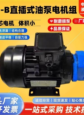 BB-B10/B6/B4/B16/B125/B25/B32/B63/B50N JZ摆线油泵电机组NJZ-1