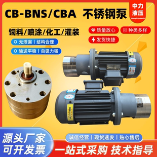 B4不锈钢齿轮泵CB BA16 32饲料喷涂灌装 B10 机油泵 BNS6