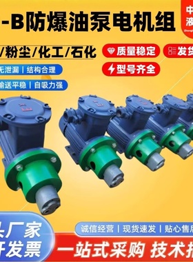 BB-B/CB-B10/B6/B4/B25/B32/50/B63/B80/B125齿轮油泵防爆电机组