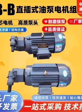 上海东高液压BB-B16Y/32/25Y/20YJZ-1摆线油泵电机组BB-B63Y2JZ-1