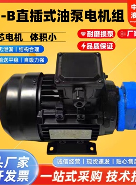 BB-B10/B6/B4/B16/B125/B25/B32/B63/B50N JZ摆线油泵电机组NJZ-1