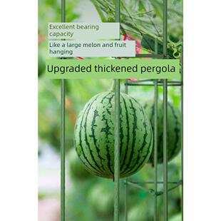 西瓜爬藤架园艺花架支架植物攀爬架包塑钢管室内外铁线莲葡萄托架