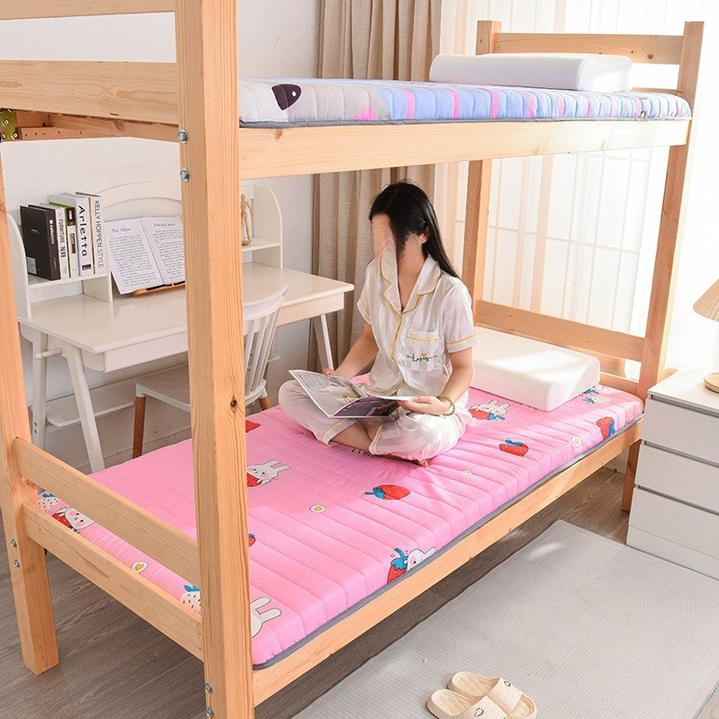 学生宿舍床垫单人海绵垫家用软垫秋冬打地铺睡垫租房床褥垫褥子