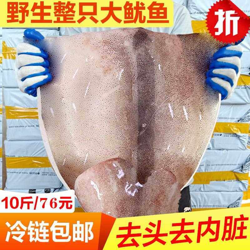 【免清理】新鲜大鱿鱼去头去内脏鱿鱼片八爪鱼章鱼尾烧烤火锅食材