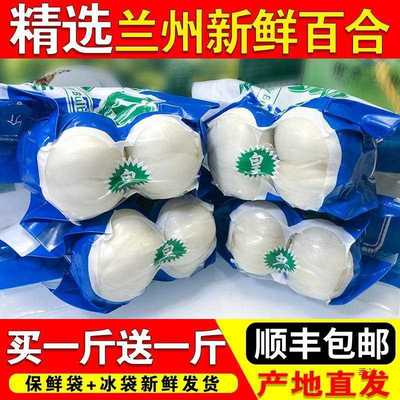 兰州百合新鲜百合500g食用甜百合生白合非百合干货甘肃产级包邮