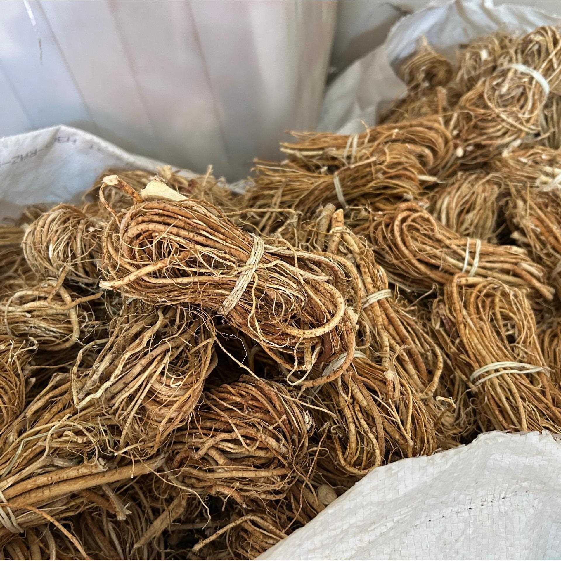 产地直供五指毛桃 五指毛桃根五指牛奶煲汤泡酒五爪龙牛奶根