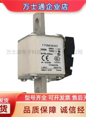 170M3739 170M3740 170M3741 170M3742/3743/3744/3745全新熔断器