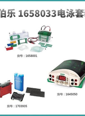 BioRad伯乐实验室小型垂直电泳三件套套装1658033 现货出售