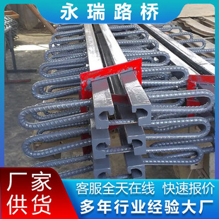 置 装 公路桥梁伸缩缝GQF C40D60EF160型梳齿板异型钢毛勒缝模数式