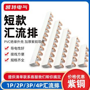 紫銅斷路器連接條空氣開關接線排裁斷 1P2P3P4P電氣匯流排63A短款