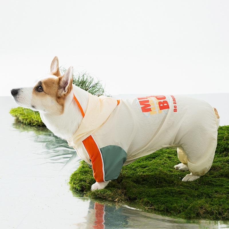 小小思想家柯基雨衣中小型犬腊肠犬四脚全包狗狗雨衣雨天宠物衣服