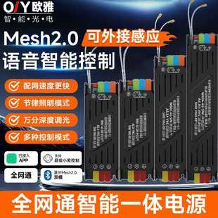 智能MESH2.0智能灯带电源24v线性灯涂鸦ZigBee语音调光调色变压器