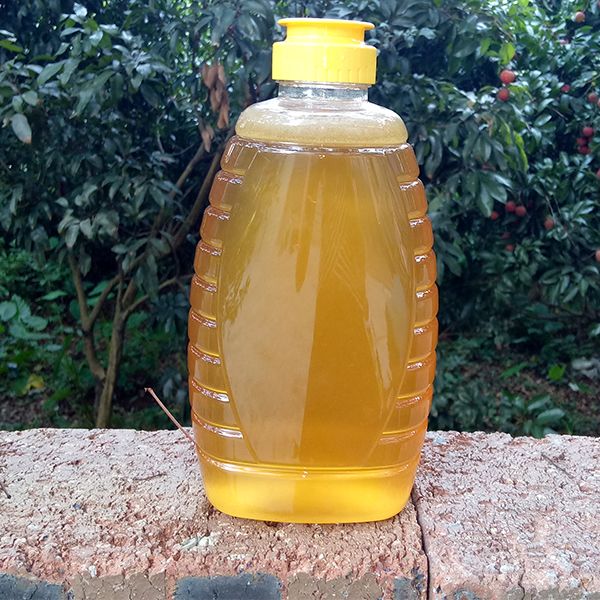 1g从化荔枝蜜龙眼蜜蜂巢