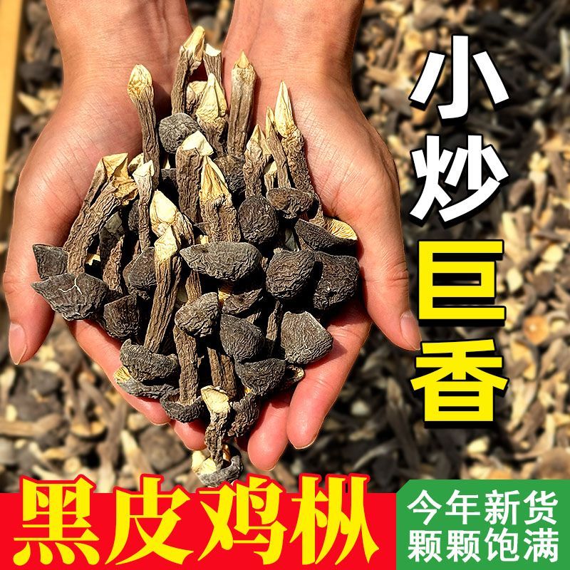 黑皮鸡枞菌干货整颗无碎