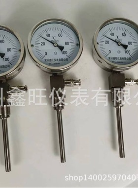 WTYY径向型轴向型万向型远传型双金属温度计 WTYX2电接点远传