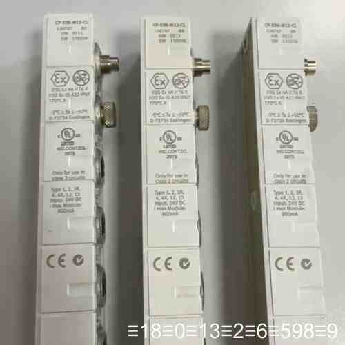 CP-E08-M12-CL模块，型号538