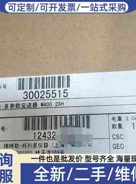 议价多参数变送器M400 2XH，物料号300255