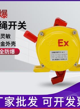 厂家BKLT2-II BLKT2-I防爆双向拉绳开关 皮带输送机拉线事故急停