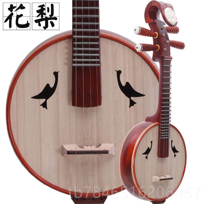 正品大专业高音器 普小阮初学 考级 演出花梨木硬木小阮乐 中阮通