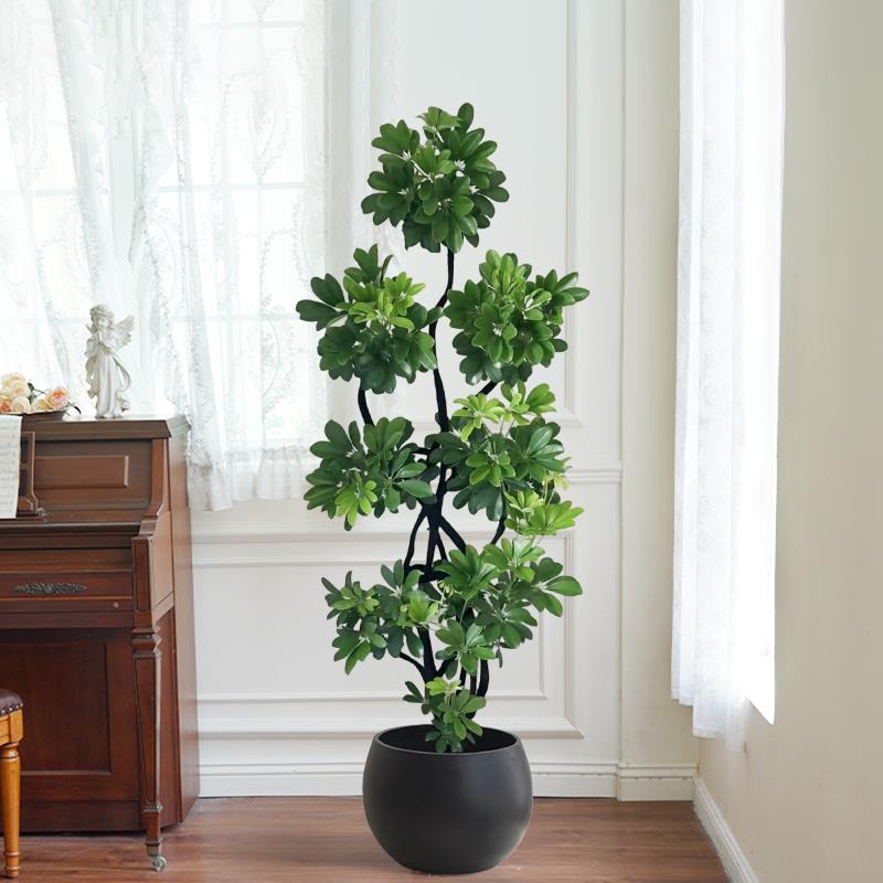 造型鸭脚木大盆栽室内绿植客厅阳台落地大型乔迁新房植物八方来财
