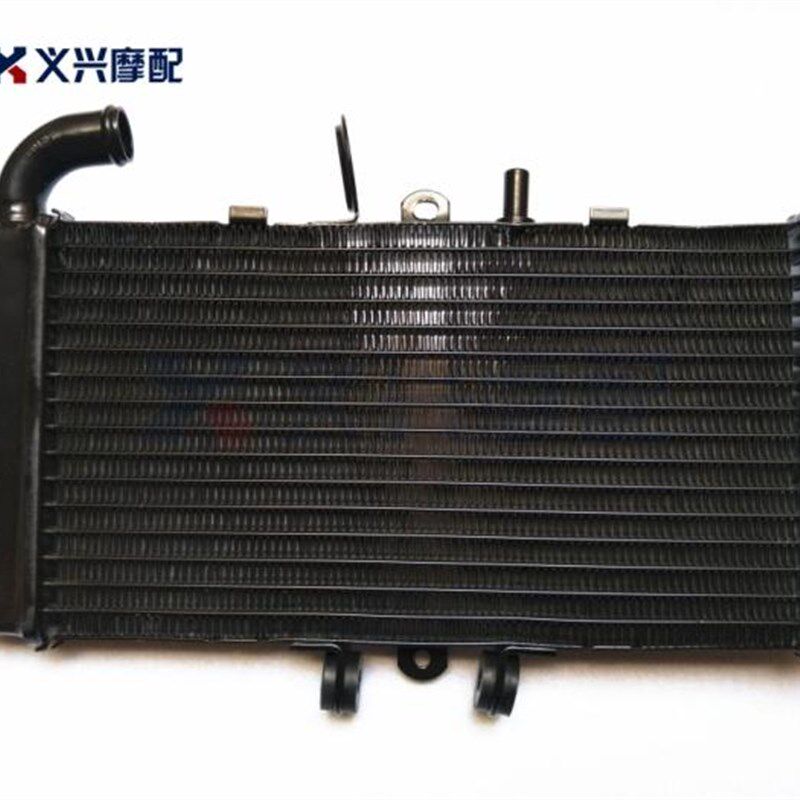 改装 小黄峰250水箱 黄蜂250水箱 黄丰250 全新水箱