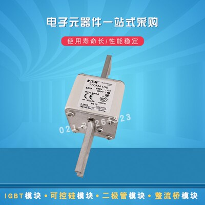 巴斯曼快速熔断器170M4166 4167 4168 4169 4170 4171 4174